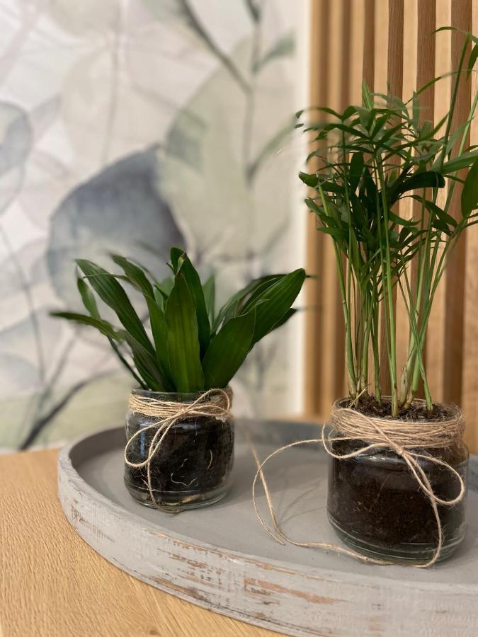Botanic Nest Panoramic Studio Bukares Bagian luar foto